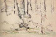 Paul Cezanne Sous-bois oil painting